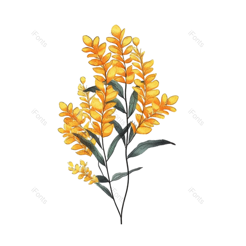 叶子图片,元素元素,秋天PNG,黄色植物免抠素材